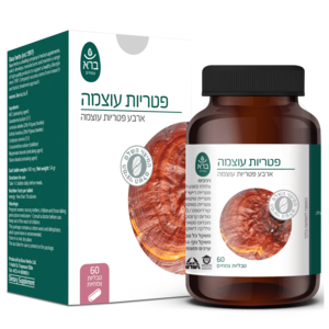 Power Mushrooms | פטריות עוצמה