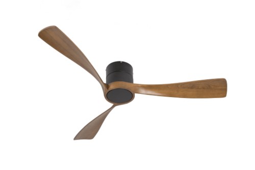  מאוור    