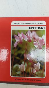 מט'ל - ערים (יד 2) יבנה