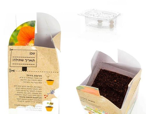 ערכת שתילה לילדים - פרחי נוי - מגש 12 יחידות