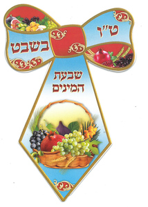 20 עניבה לט