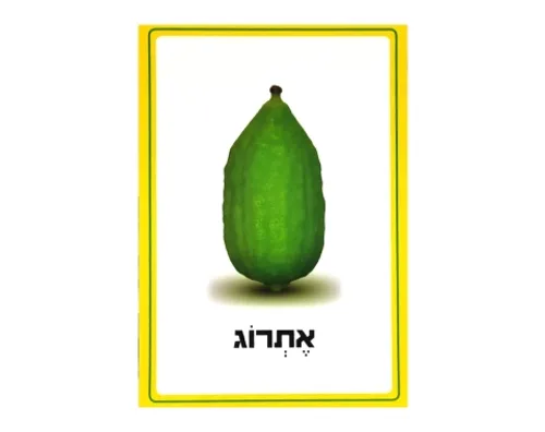 ערכת תמונות - פירות הדר