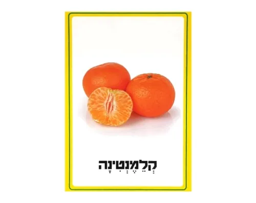 ערכת תמונות - פירות הדר