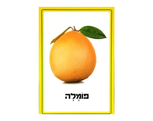 ערכת תמונות - פירות הדר