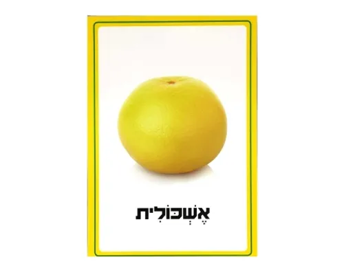 ערכת תמונות - פירות הדר