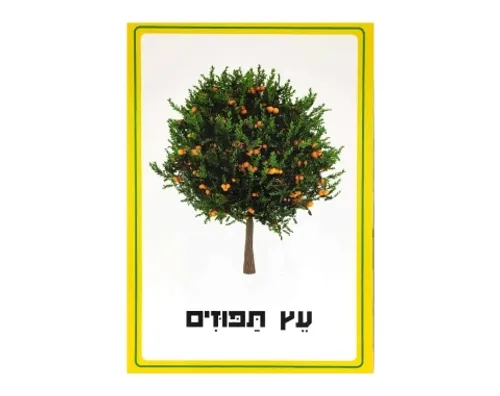 ערכת תמונות - פירות הדר
