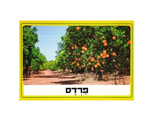ערכת תמונות - פירות הדר