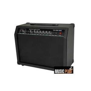   מגבר גיטרה 40W דגם TG-40R-MIC חברת BTS
