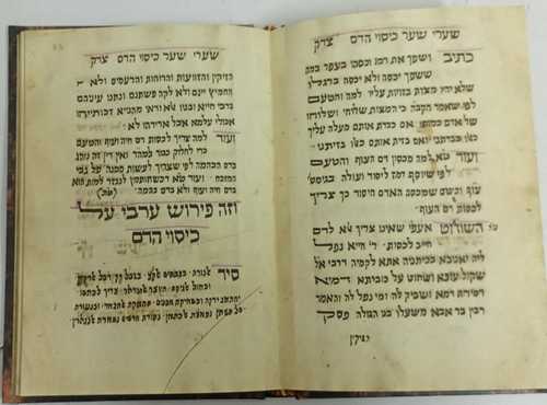 שערי צדק - צילום כ
