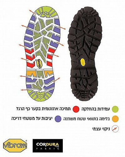 נעל חי