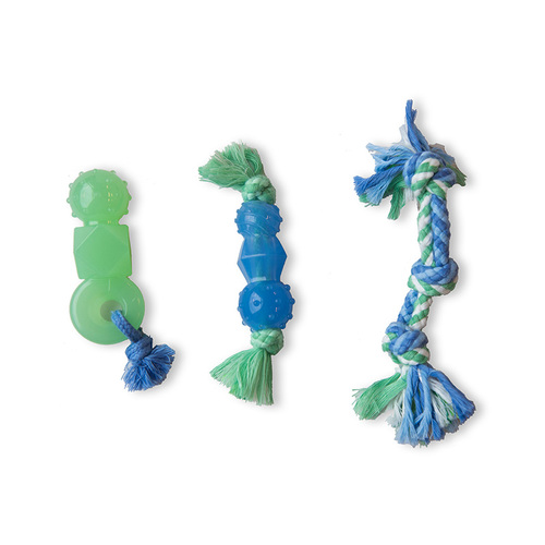ערכת 3 ב 1 דנטלי