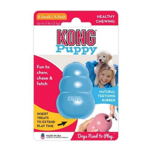 קונג Kong צעצוע לכלב גור נחום תקום עם מחבוא חטיפים כחול/ורוד XS