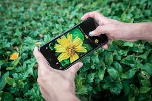 סמארטפון משוריין מוקשח Oukitel WP30 Pro
