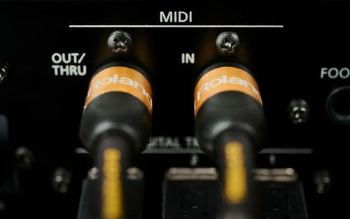 זוית נוספת Roland RMIDI-G5 Midi Cable