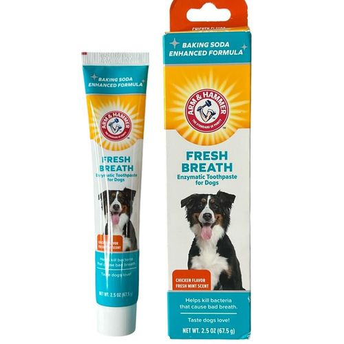 משחת שיניים אנזימטית לכלבים בטעם עוף 67.5גרם Arm & Hammer Fresh Breath