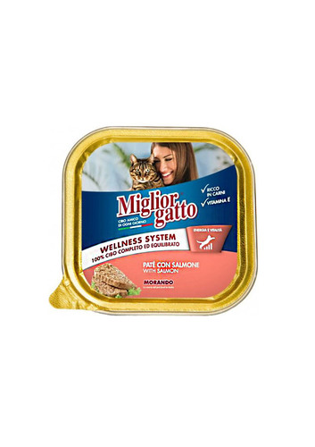 מור ש.מעדן חתול סלמון 100 גרם בקופסה