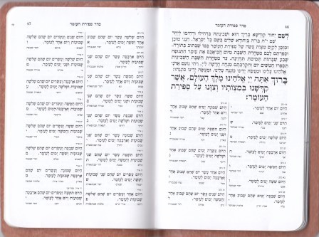 מנחה וערבית דמוי עור + ניילון