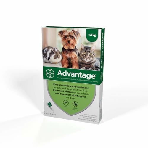 אדוונטאג' Advantage - אמפולות לחתולים וארנבונים במשקל עד 4 ק''ג 4 יחידות