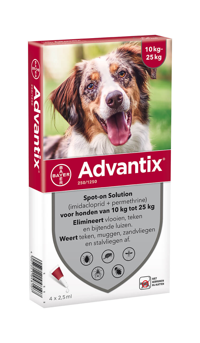 אדוונטיקס Advantix באייר לכלב 10 - 25 ק"ג (4 יחידות)