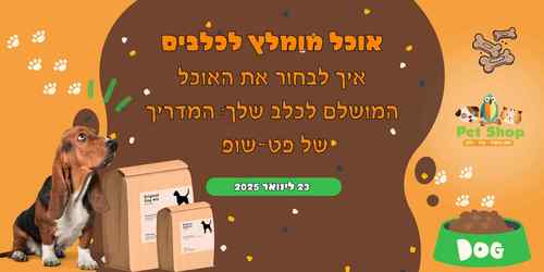 אוכל מומלץ לכלבים: המדריך לבחירת האוכל המושלם לכלב שלך