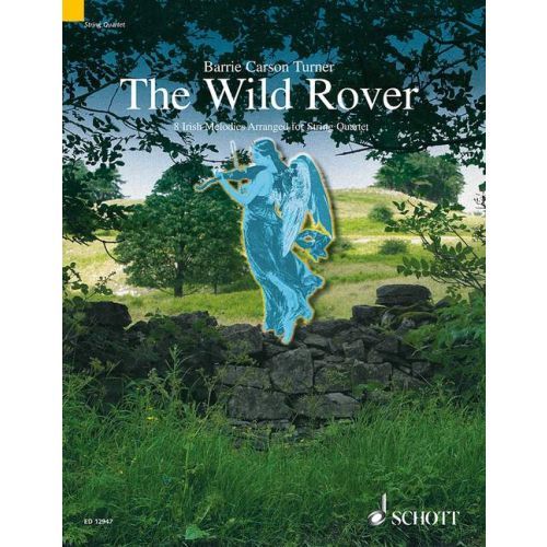 The Wild Rover String Quartet 