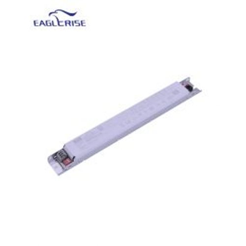 דרייבר אוניברסאלי Eaglerise 80W
