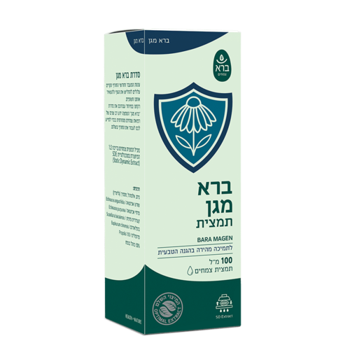 ברא מגן (תמצית)