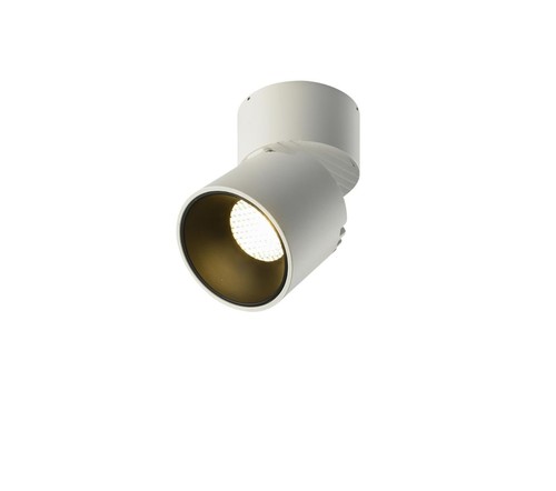 צילינדר לבן מתכוונן LED 12W