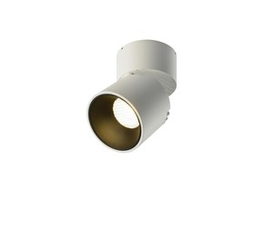צילינדר לבן מתכוונן LED 12W