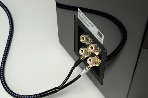 SVS Soundpath Ultra Speaker Banana Cable - 2.4Meter (בודד)