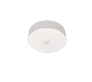 פלפון לבן LED 3W