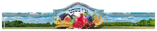כתר טו בשבט שבעת המינים 
