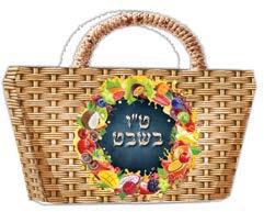 קופסה לטו בשבט 