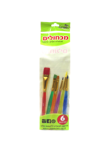 מכחולים - 6 יחידות