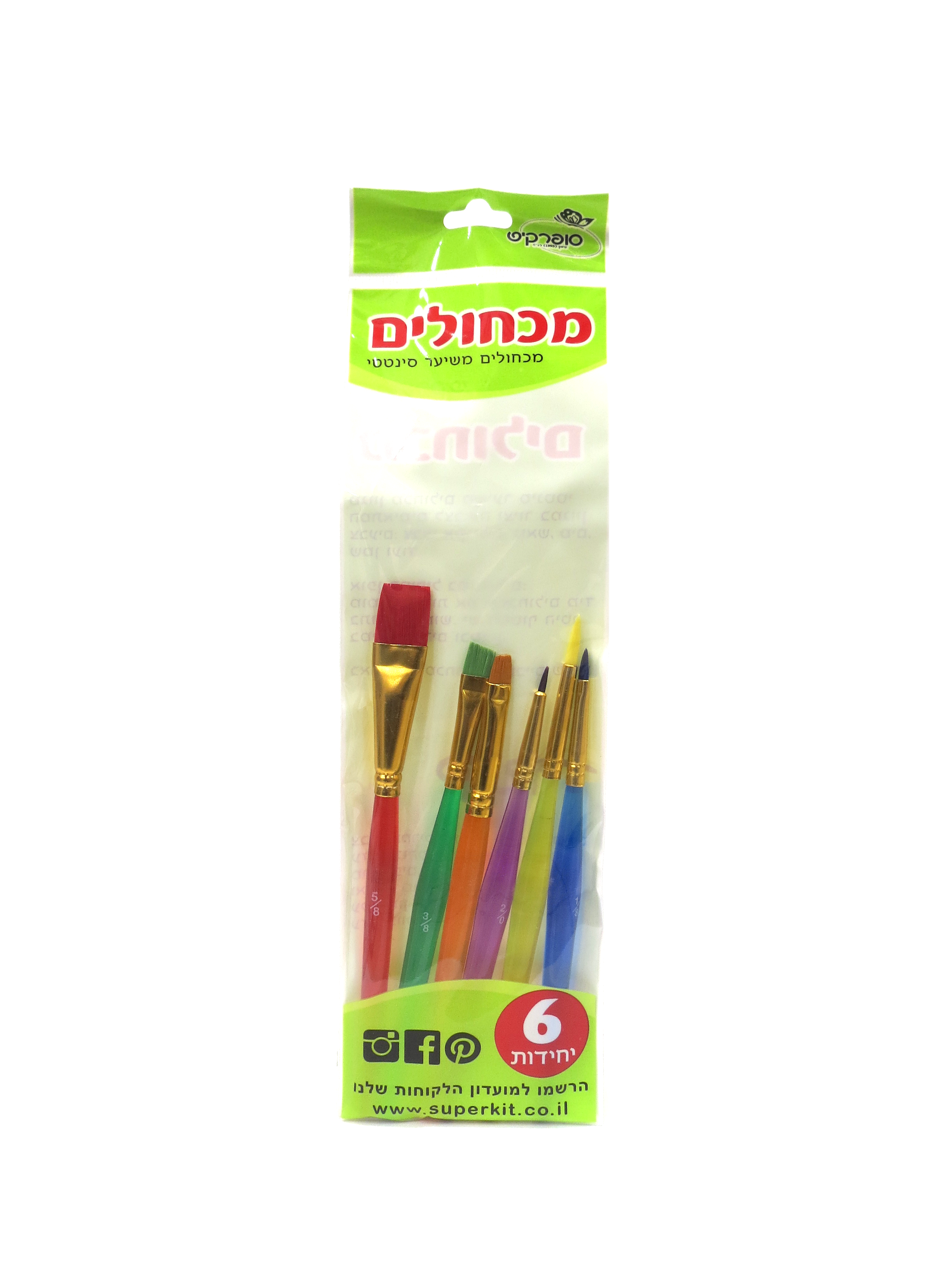 מכחולים - 6 יחידות