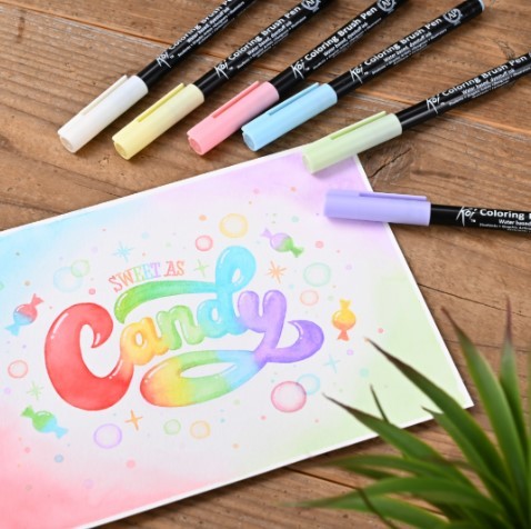 6 טושי מכחול coloring brush pens , גווני CANDY
