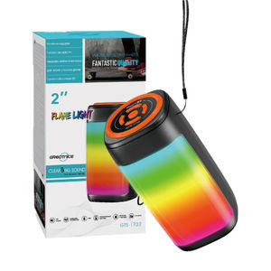 רמקול נייד GTS-1732 5W  עם תאורת לד