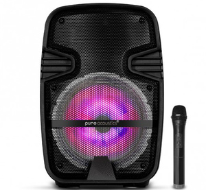 רמקול קריוקי PURE ACOUSTIC 8" 1100W V-1208