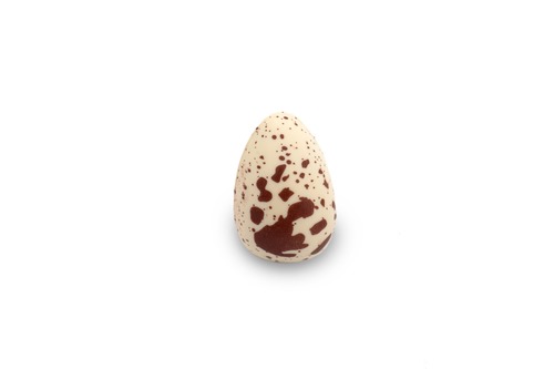 קישוט ביצת שליו 189 יח'