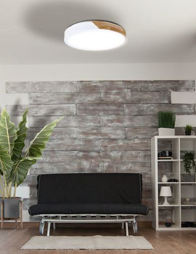 גוף תאורה צמוד תקרה דקורטיבי RAFAEL כולל שלט CCT