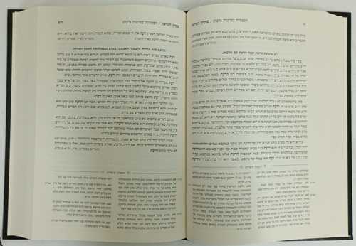 פתרון מראה - ביאור הגר