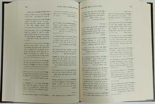 ערכי תורת הגר