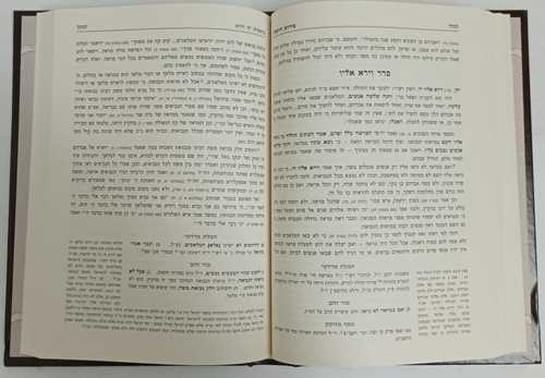 פירוש הרמב