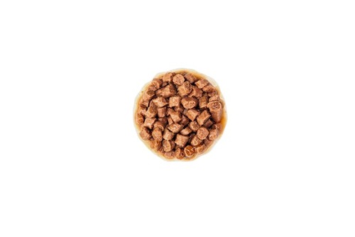 רויאל קנין Royal Canin חתול קיטן פאוץ' חתיכות ברוטב 12 יחידות