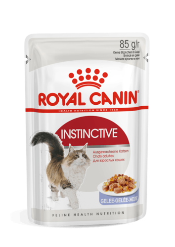 רויאל קנין Royal Canin לחתול אינסטינקטיב פאוץ' חתיכות בג'לי