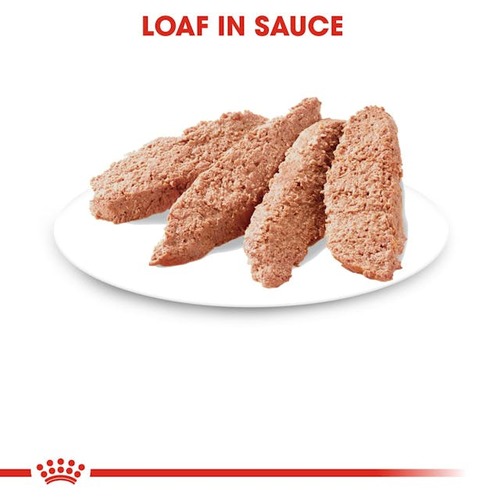 רויאל קנין Royal Canin לחתול אינסטינקטיב פאוץ' פטה 12 יחידות