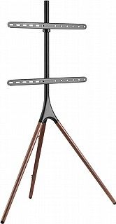 מעמד טלוויזיה עד 65