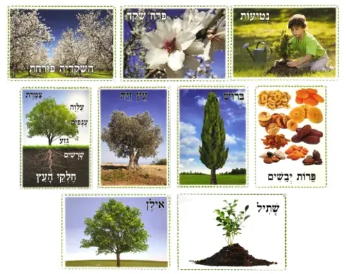 ערכת תמונות - ט