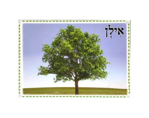 ערכת תמונות - ט