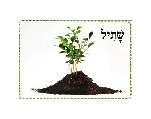 ערכת תמונות - ט